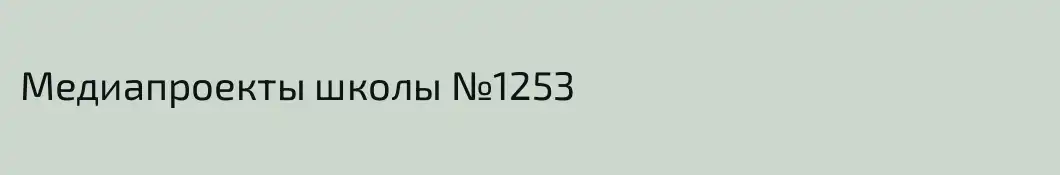 Медиапроекты школы №1253